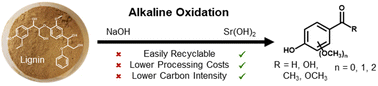 Graphical abstract: Lignin alkaline oxidation using reversibly-soluble bases