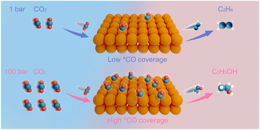 Graphical abstract: Enhanced electroreduction of CO2 to ethanol via enriched intermediates at high CO2 pressures