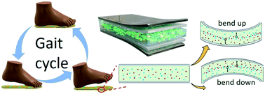 Graphical abstract: A plantar wearable pressure sensor based on hybrid lead zirconate-titanate/microfibrillated cellulose piezoelectric composite films for human health monitoring