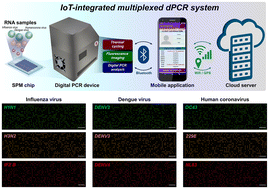 Graphical abstract: Development of an IoT-integrated multiplexed digital PCR system for quantitative detection of infectious diseases