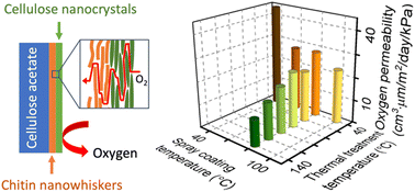 Graphical abstract: Optimization of spray-coated nanochitin/nanocellulose films as renewable oxygen barrier layers via thermal treatment