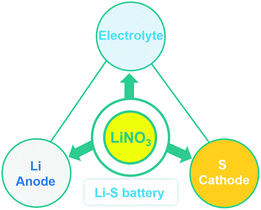 Graphical abstract: Deciphering the role of LiNO3 additives in Li–S batteries