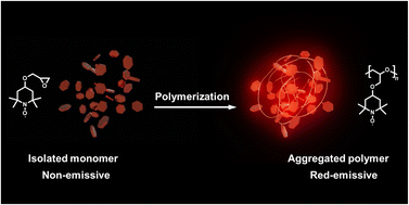 Graphical abstract: A nonconjugated radical polymer with stable red luminescence in the solid state
