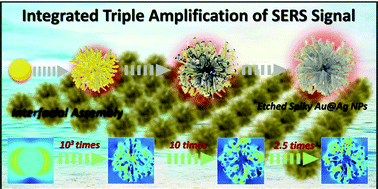 Graphical abstract: Etched-spiky Au@Ag plasmonic-superstructure monolayer films for triple amplification of surface-enhanced Raman scattering signals