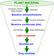 Graphical abstract: Strategies for the discovery of potential anticancer agents from plants collected from Southeast Asian tropical rainforests as a case study