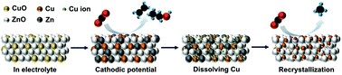 Graphical abstract: In situ probing the dynamic reconstruction of copper–zinc electrocatalysts for CO2 reduction