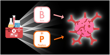 Graphical abstract: Boron- and phosphorus-containing molecular/nano platforms: exploiting pathological redox imbalance to fight cancer