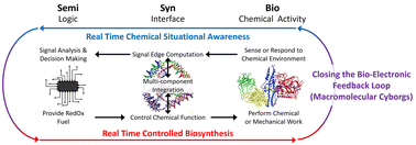 Graphical abstract: Synthesizing the biochemical and semiconductor worlds: the future of nucleic acid nanotechnology