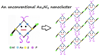 Graphical abstract: Structure and assembly of a hexanuclear AuNi bimetallic nanocluster