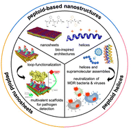 Graphical abstract: Protein-mimetic peptoid nanoarchitectures for pathogen recognition and neutralization