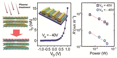Graphical abstract: Homogeneous in-plane WSe2 P–N junctions for advanced optoelectronic devices