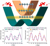 Graphical abstract: Spin-photogalvanic effect in chiral lead halide perovskites