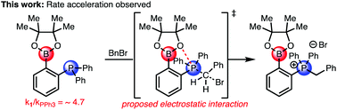 Graphical abstract: Relative rates of alkylation for B-substituted triarylphosphines: an ortho-Boron group enhances reactivity on phosphorus