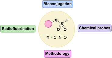 Graphical abstract: Sulfur(vi) fluorides as tools in biomolecular and medicinal chemistry