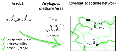Graphical abstract: Combining vinylogous urethane and β-amino ester chemistry for dynamic material design