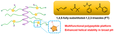 Graphical abstract: Versatile fully-substituted triazole-functionalized polypeptides with a stable α-helical conformation for gene delivery