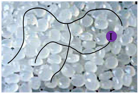 Graphical abstract: Towards degradable polyethylene: end-functionalised polyethylene (PE-X) and PE-I/LDPE blends from iron-catalysed chain growth of ZnEt2 with ethylene