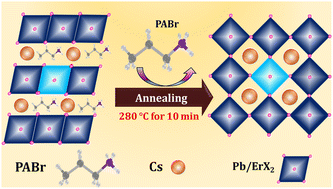 Graphical abstract: Understanding the synergistic influence of the propylammonium bromide additive and erbium-doped CsPbI2Br for highly stable inorganic perovskite solar cells