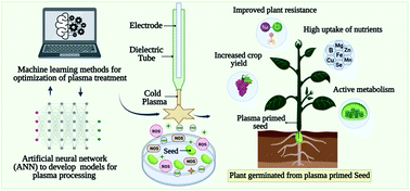 Graphical abstract: Emerging cold plasma treatment and machine learning prospects for seed priming: a step towards sustainable food production