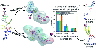 Graphical abstract: Does the inclusion of electronic polarisability lead to a better modelling of peptide aggregation?