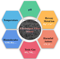 Graphical abstract: Advances in electrospun nanofibrous membrane sensors for ion detection