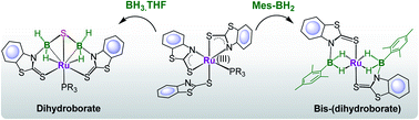 Graphical abstract: Cooperative B–H bond activation: dual site borane activation by redox active κ2-N,S-chelated complexes