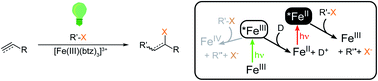 Graphical abstract: Photoredox catalysis via consecutive 2LMCT- and 3MLCT-excitation of an Fe(iii/ii)–N-heterocyclic carbene complex
