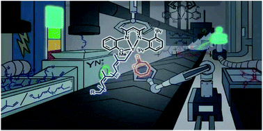 Graphical abstract: Controlled, one-pot synthesis of recyclable poly(1,3-diene)-polyester block copolymers, catalyzed by yttrium β-diketiminate complexes