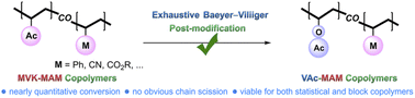 Graphical abstract: Exhaustive Baeyer–Villiger oxidation: a tailor-made post-polymerization modification to access challenging poly(vinyl acetate) copolymers