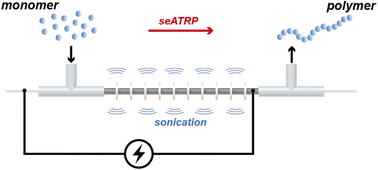 Graphical abstract: Continuous-flow self-supported seATRP using a sonicated microreactor