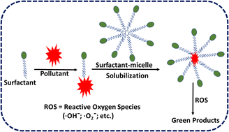 Graphical abstract: A comprehensive review on removal of environmental pollutants using a surfactant based remediation process