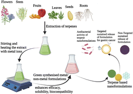 Graphical abstract: A review on terpenes for treatment of gastric cancer: current status and nanotechnology-enabled future