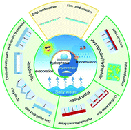 Graphical abstract: Advanced solar desalination on superwetting surfaces