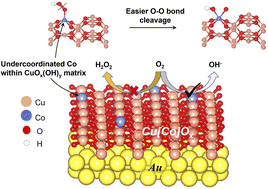 Graphical abstract: Suppressing H2O2 formation in the oxygen reduction reaction using Co-doped copper oxide electrodes
