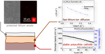Graphical abstract: Lithium–sulfur cells with a sulfide solid electrolyte/polysulfide cathode interface