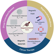 Graphical abstract: Magnetomechanical force: an emerging paradigm for therapeutic applications