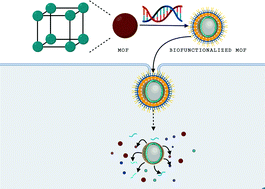 Graphical abstract: Biofunctionalized metal–organic frameworks and host–guest interactions for advanced biomedical applications