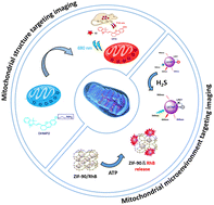 Graphical abstract: Recent advances in nanotechnology mediated mitochondria-targeted imaging