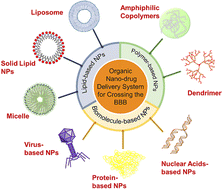 Graphical abstract: Getting drugs to the brain: advances and prospects of organic nanoparticle delivery systems for assisting drugs to cross the blood–brain barrier