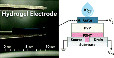 Graphical abstract: PEDOT:PSS hydrogel gate electrodes for OTFT sensors