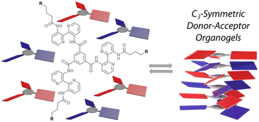 Graphical abstract: Donor–acceptor organogels and xerogels from C3-symmetric pyrene and naphthalene-diimide components