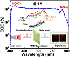Graphical abstract: Highly sensitive broadband photomultiplication type all-polymer photodetectors and their applications in optical pulse counting