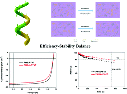 Graphical abstract: Realizing the efficiency-stability balance for all-polymer photovoltaic blends