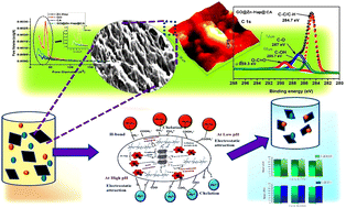 Graphical abstract: Engineering GO@Zn–Hap@CA porous heterostructure for ultra-fast and ultra-high adsorption efficacy: investigation towards the remediation of chromium and lead