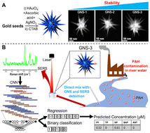 Graphical abstract: Multiplex SERS detection of polycyclic aromatic hydrocarbon (PAH) pollutants in water samples using gold nanostars and machine learning analysis