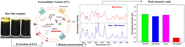 Graphical abstract: Feasibility of Raman spectroscopic identification of gall bladder cancer using extracellular vesicles extracted from bile