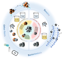 Graphical abstract: Carbon dots@noble metal nanoparticle composites: research progress report