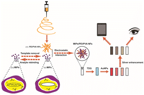 Graphical abstract: Electrostatic assemblies of molecularly imprinted polymers on the surface of electrospun nanofiber membranes for the point-of-care detection of thiodiglycol, a sulfur mustard poisoning metabolic marker