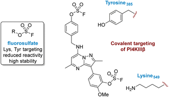Graphical abstract: Covalent targeting of non-cysteine residues in PI4KIIIβ