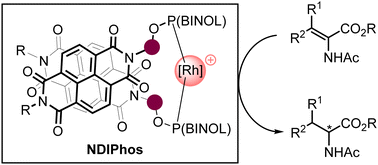 Graphical abstract: NDIPhos as a platform for chiral supramolecular ligands in rhodium-catalyzed enantioselective hydrogenation